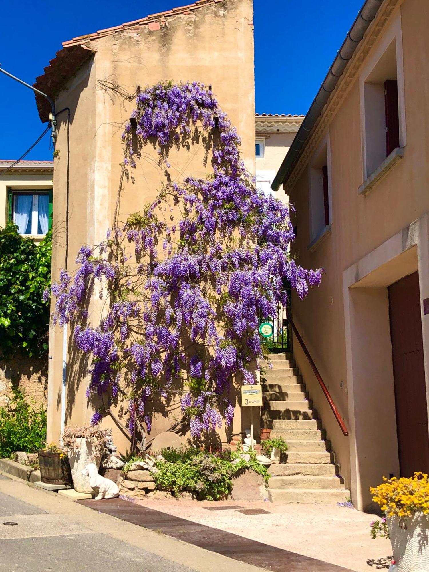 Maison Du Midi, 2 Gites De Charme Ginestas Exterior photo